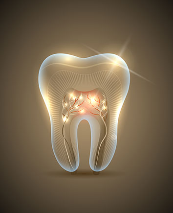 Root Canal Therapy | Paramount Dental | North Calgary | Family and General Dentist